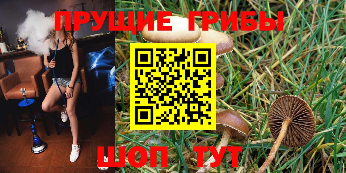 Галлюциногенные грибы мухоморы Химки
