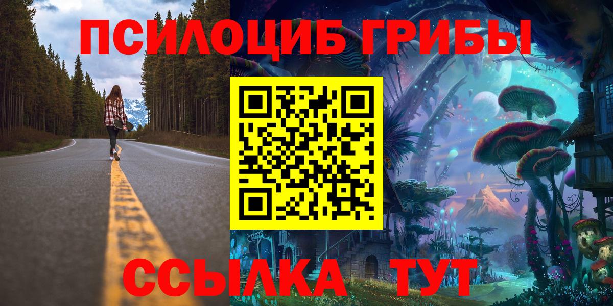 Химки  Псилоцибиновые грибы мицелий  Вход с VPN 